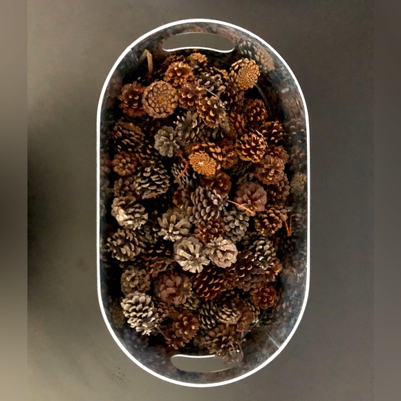 Festive Pinecone Centre Piece - Picture 1 of 8